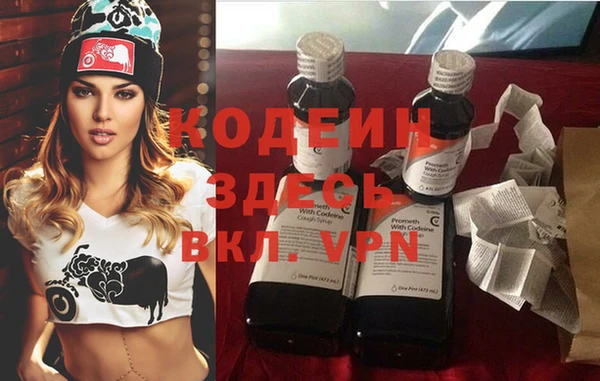 крисы Абаза