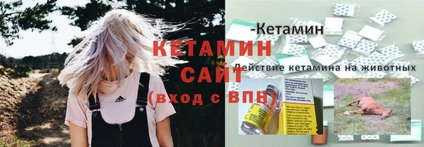 крисы Абаза