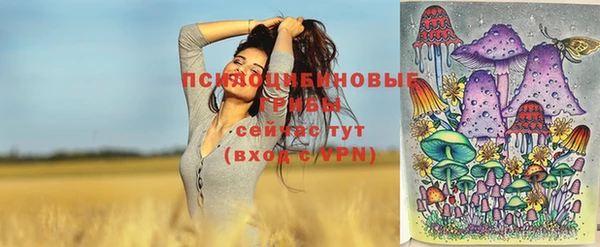 винт Протвино