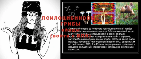 крисы Абаза