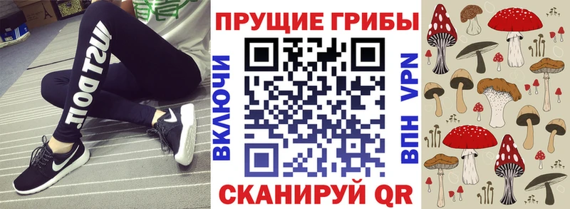 Псилоцибиновые грибы мухоморы  Кедровый 